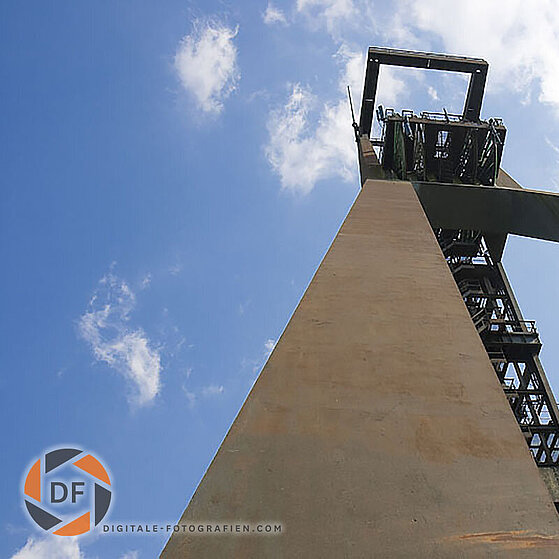 Zecke-Ewald-Herten-22