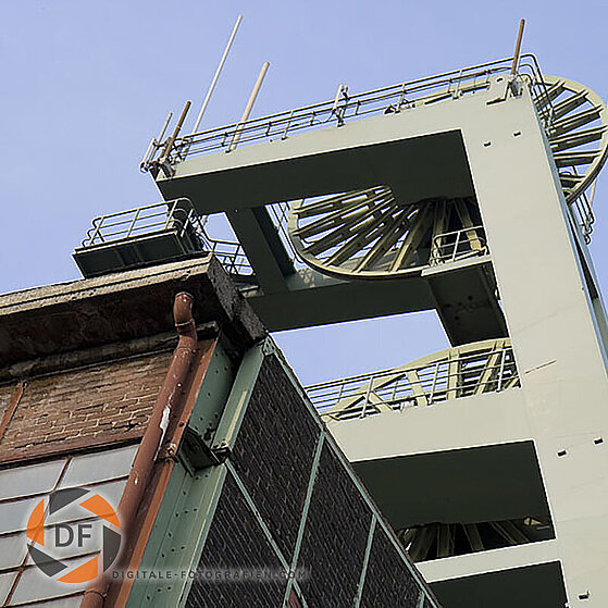 Zecke-Ewald-Herten-12