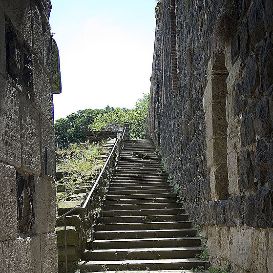 Kaiserpfalz-Duesseldorf-Kaiserswerth-22