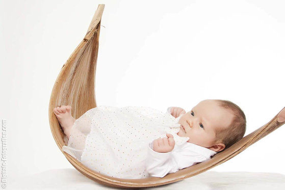 Baby Kokosnussblatt