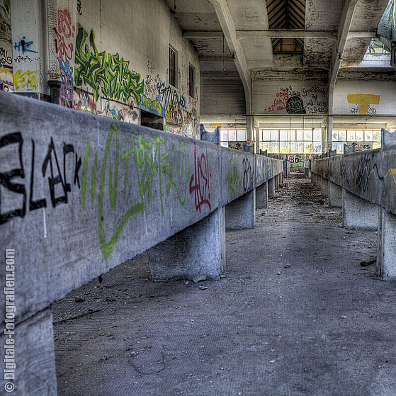 Schlachthof-Ruine-Duesseldorf-06