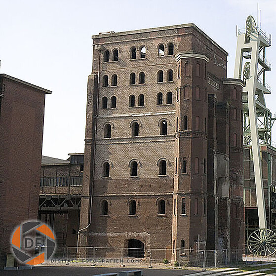 Zecke-Ewald-Herten-28