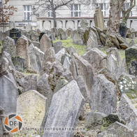 Dicht stehende historische Grabsteine auf dem Alten Jüdischen Friedhof in Prag, umgeben von Bäumen und einer Mauer im Hintergrund – Symbol für die jahrhundertealte jüdische Geschichte der Stadt.