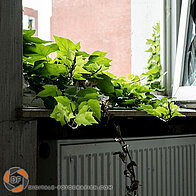 Muskator_Tiernahrungsfabrik_Duesseldorf_LostPlace-011