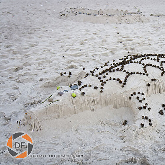 Polen_Dzinowek_Strand_003