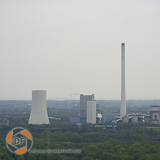 Zecke-Ewald-Herten-15