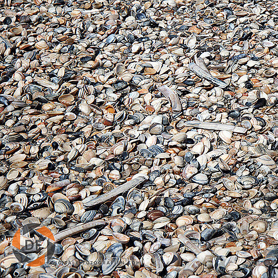 Scheveningen_Holland_Meer_032