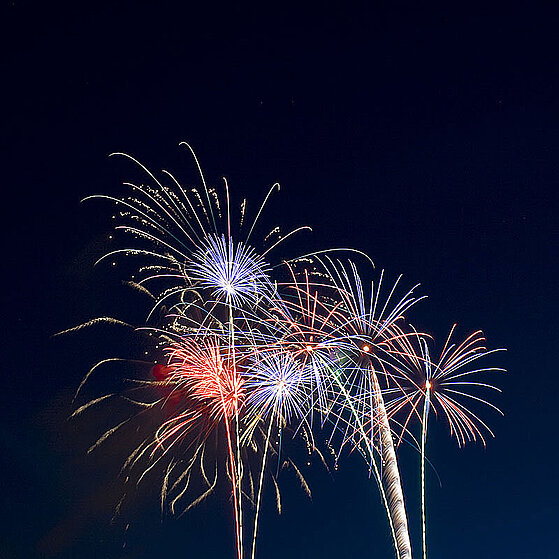 Japanisches-Feuerwerk-Duesseldorf-2009-13