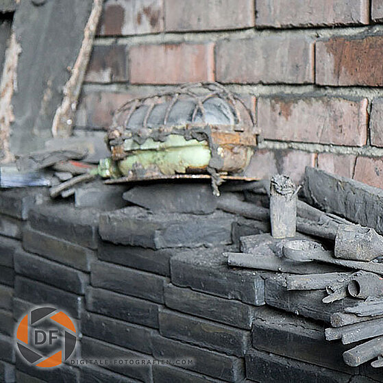 Zecke-Ewald-Herten-27