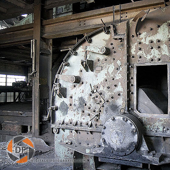 Zecke-Ewald-Herten-26