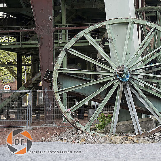 Zecke-Ewald-Herten-09