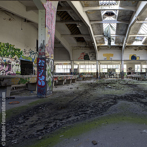 Schlachthof-Ruine-Duesseldorf-07