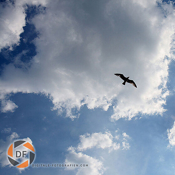 Scheveningen_Holland_Meer_043