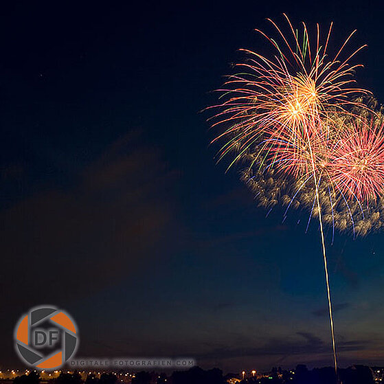 Japanisches-Feuerwerk-Duesseldorf-2009-12