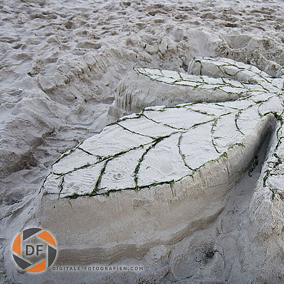 Polen_Dzinowek_Strand_005