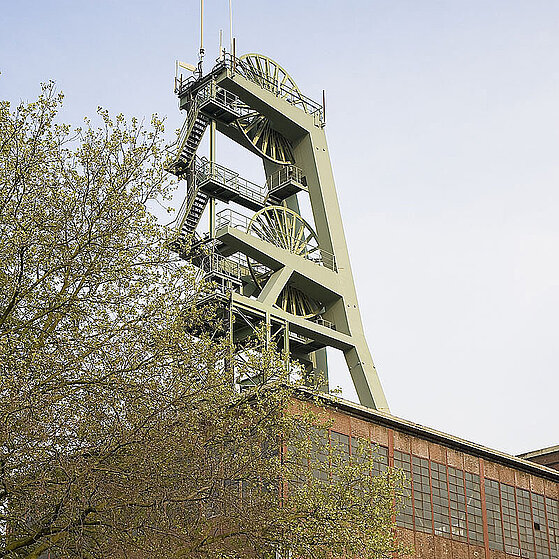 Zecke-Ewald-Herten-14