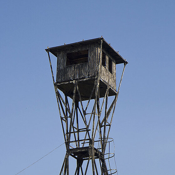 Polen_Dzinowek_Strand_004