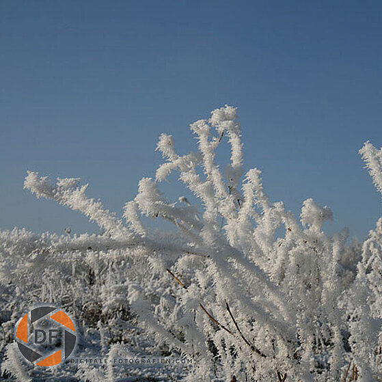 Winter_2007_Luenen_010