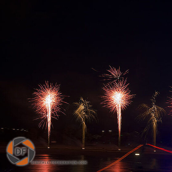 Japanisches-Feuerwerk-Duesseldorf-2009-16