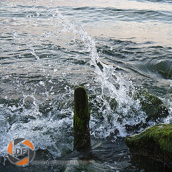 Polen_Dzinowek_Meer_002