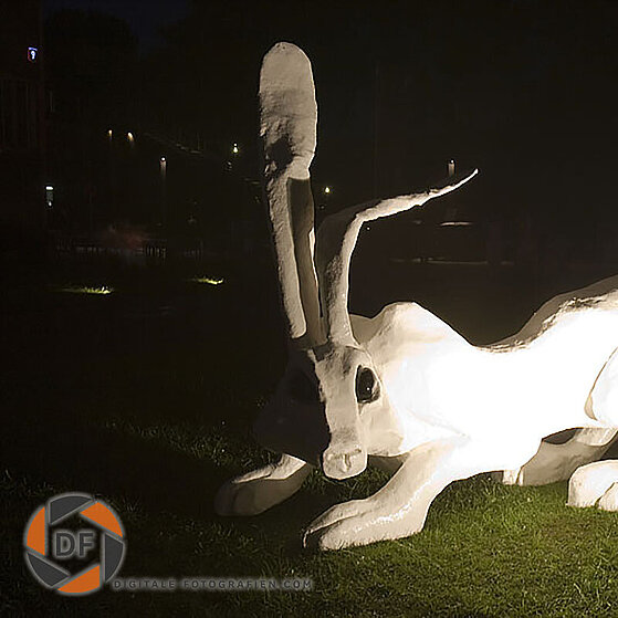 Stiftung-Zollverein-Extra-Schicht-07