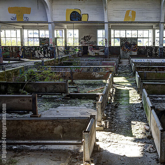 Schlachthof-Ruine-Duesseldorf-11
