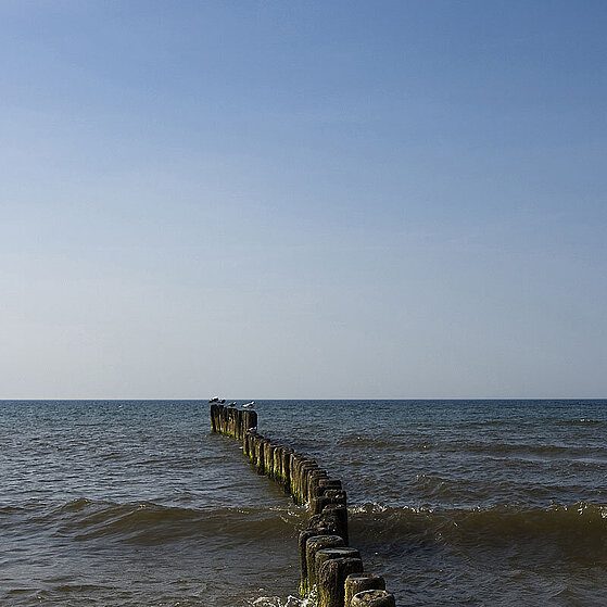 Polen_Dzinowek_Strand_Meer_001