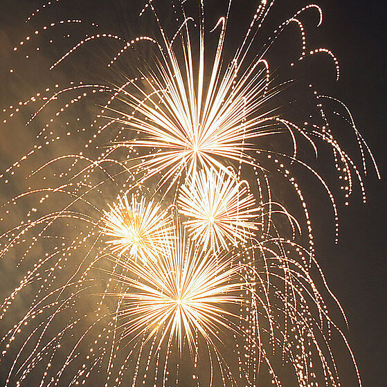 Ruhr_In_Flammen_Feuerwerk_2008_08