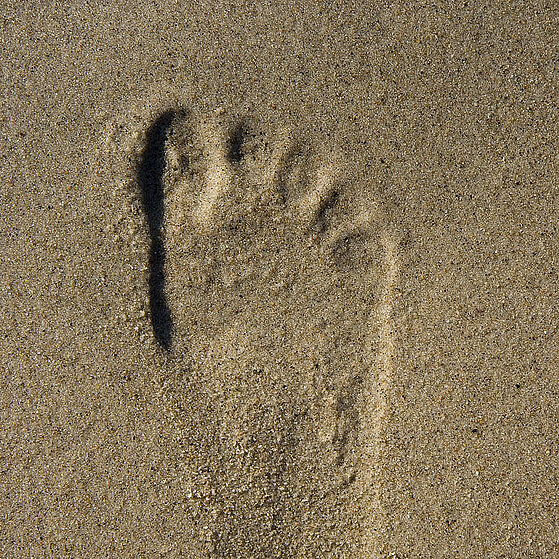 Polen_Dzinowek_Strand_001