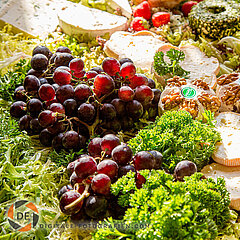 Food-Art Vorspeise mit französischen Käse Salat mit Käse