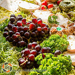 Food-Art Vorspeise mit französischen Käse Salat mit Käse