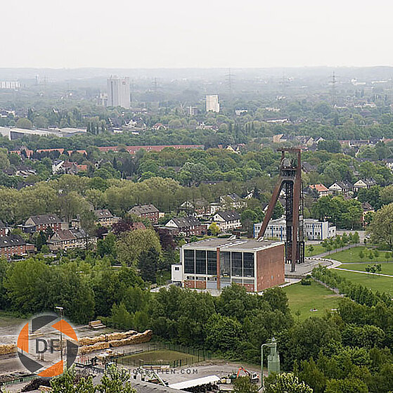 Zecke-Ewald-Herten-16