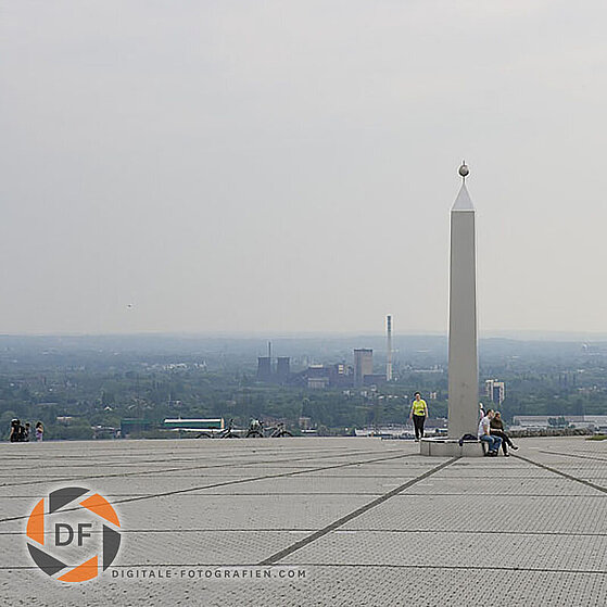 Zecke-Ewald-Herten-17