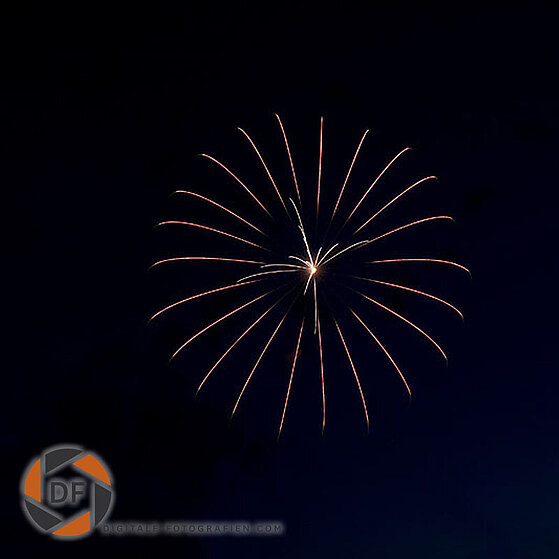 Japanisches-Feuerwerk-Duesseldorf-2009-02