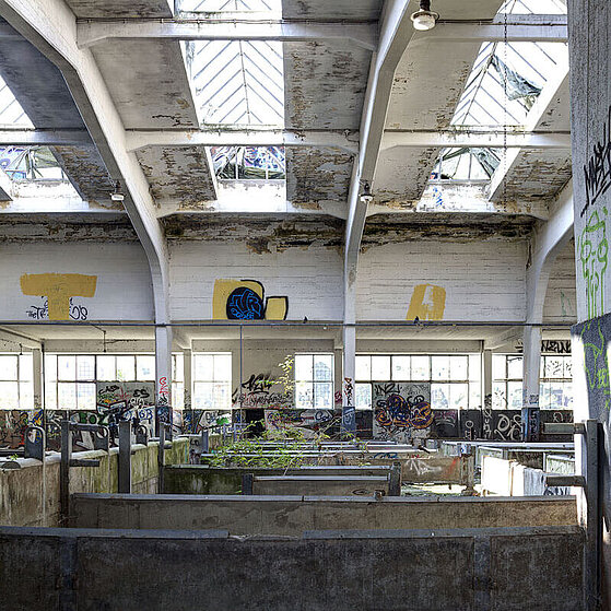 Schlachthof-Ruine-Duesseldorf-10