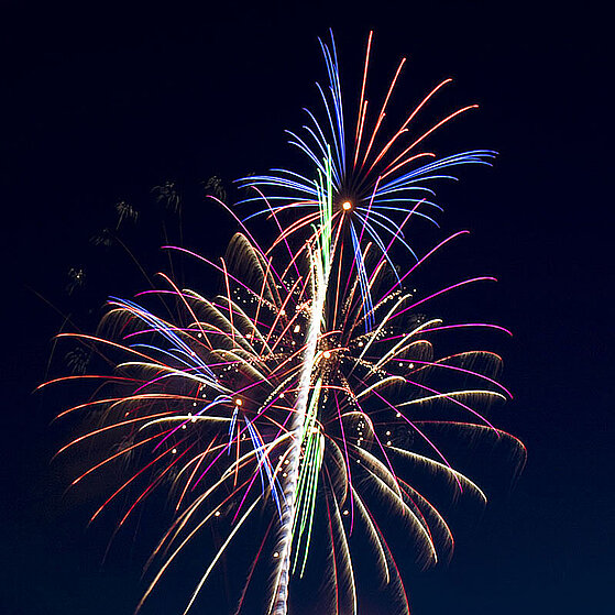 Japanisches-Feuerwerk-Duesseldorf-2009-15