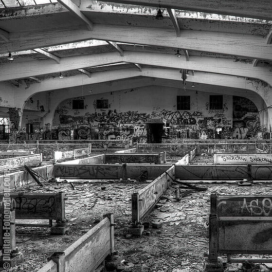 Schlachthof-Ruine-Duesseldorf-13