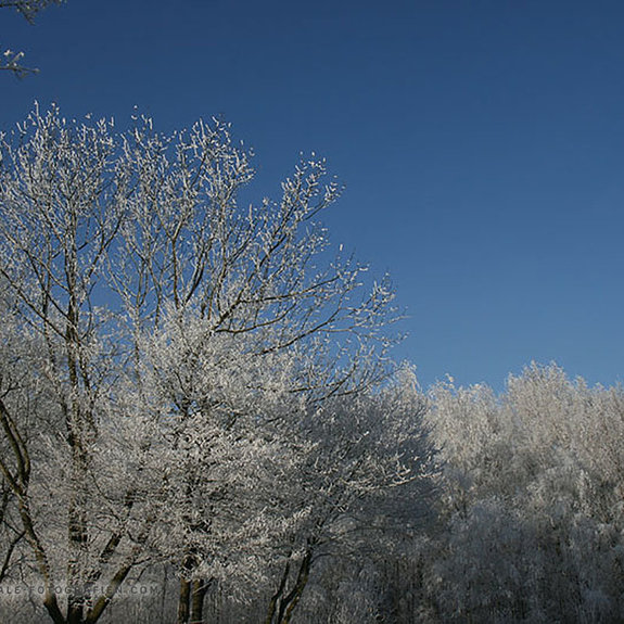 Winter_2007_Luenen_004