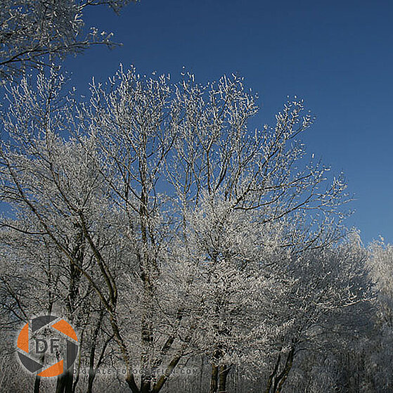 Winter_2007_Luenen_004