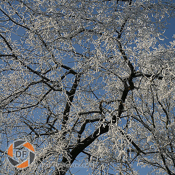 Winter_2007_Luenen_006