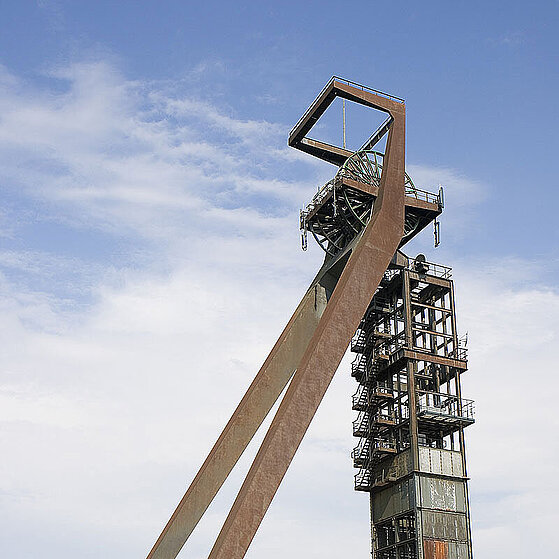 Zecke-Ewald-Herten-23