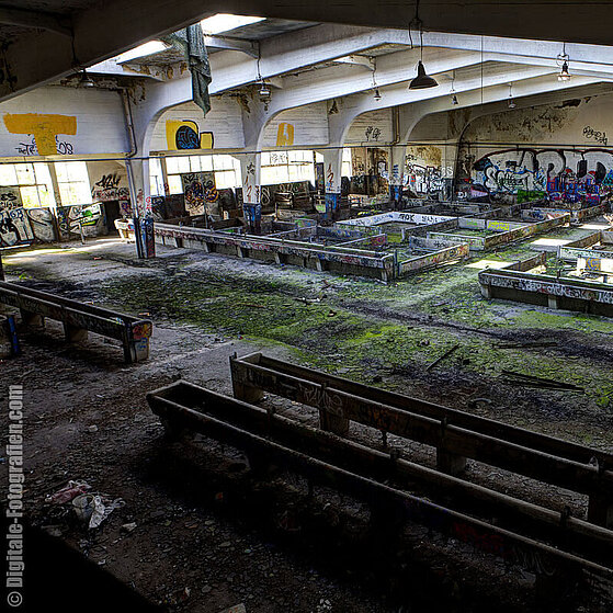 Schlachthof-Ruine-Duesseldorf-15