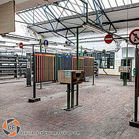 Bergwerk_Lippe_Zeche_Westerholt_Gelsenkirchen-017