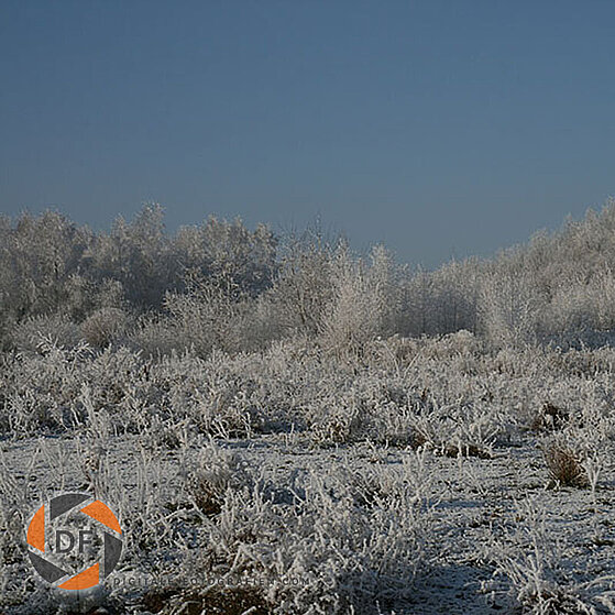 Winter_2007_Luenen_008