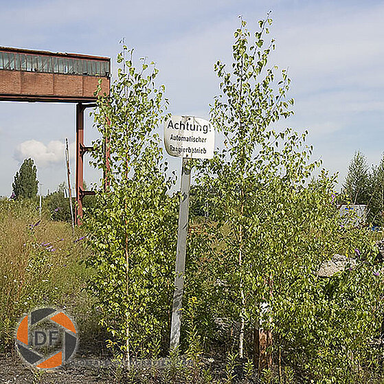 Zeche-General-Blumenthal-Recklinghausen-21