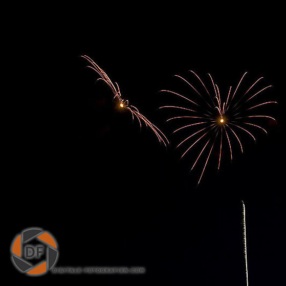 Japanisches-Feuerwerk-Duesseldorf-2009-18