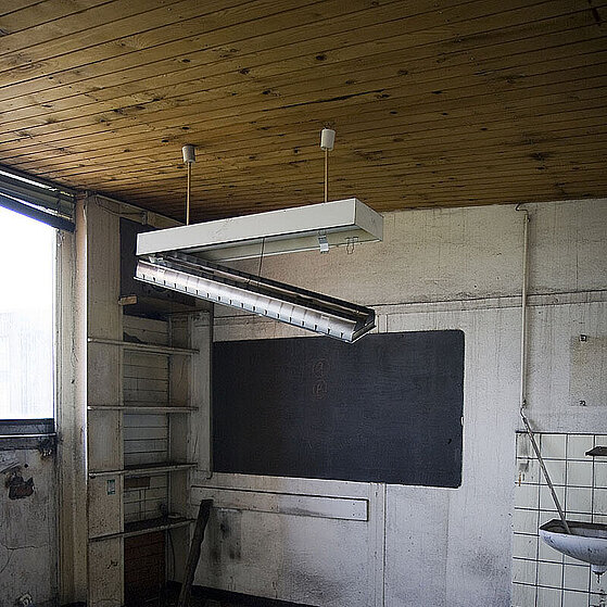 Zecke-Ewald-Herten-41