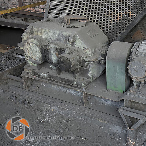 Zecke-Ewald-Herten-34