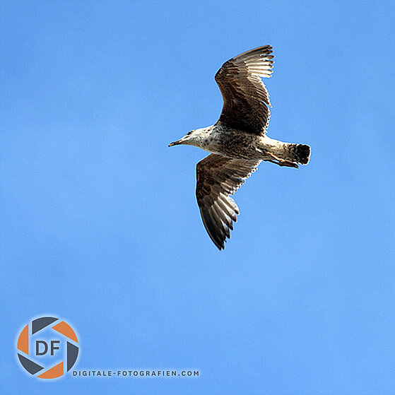 Scheveningen_Holland_Meer_046