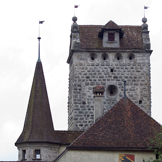 Bern-Schloss_Aarwangen-2
